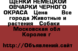 ЩЕНКИ НЕМЕЦКОЙ ОВЧАРКИ ЧЕРНОГО ОКРАСА › Цена ­ 1 - Все города Животные и растения » Собаки   . Московская обл.,Королев г.